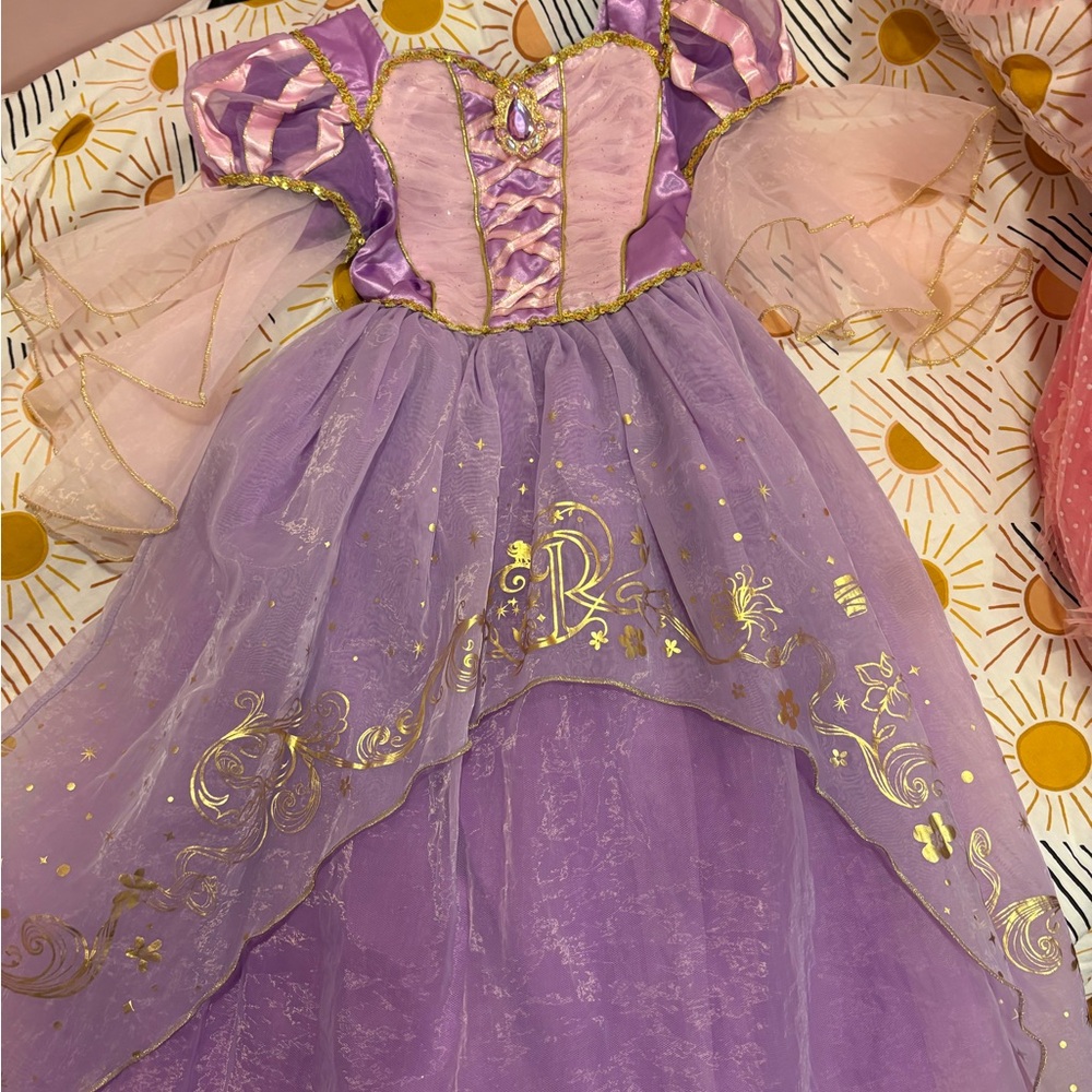 Disney Lavender and Gold Kids Costume